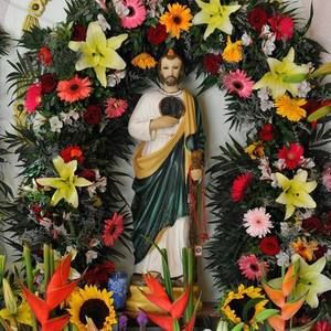 Meet your Posher, Elvira